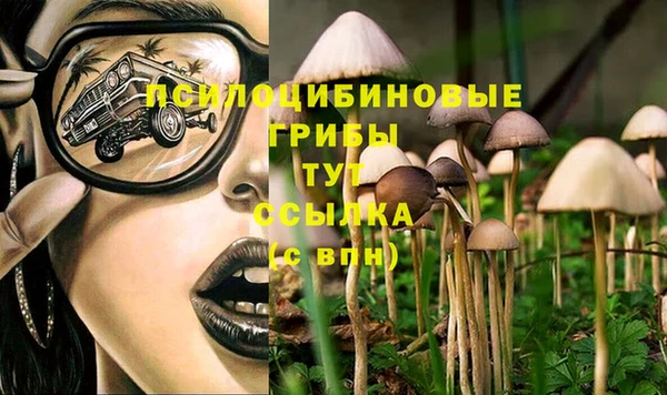 ГАЛЛЮЦИНОГЕННЫЕ ГРИБЫ Беломорск