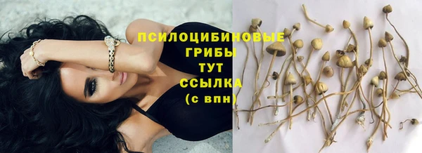 mdpv Белоозёрский