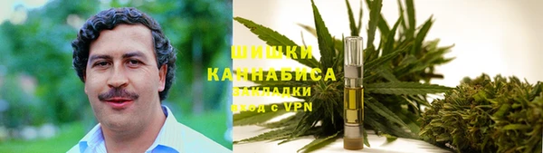 ГАЛЛЮЦИНОГЕННЫЕ ГРИБЫ Беломорск