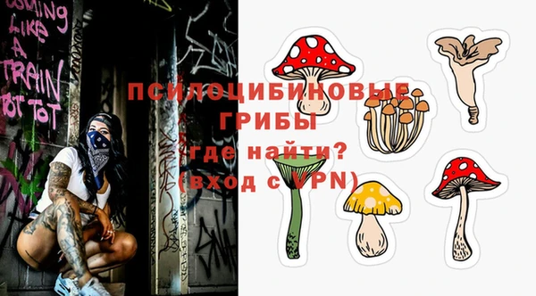 ГАЛЛЮЦИНОГЕННЫЕ ГРИБЫ Беломорск