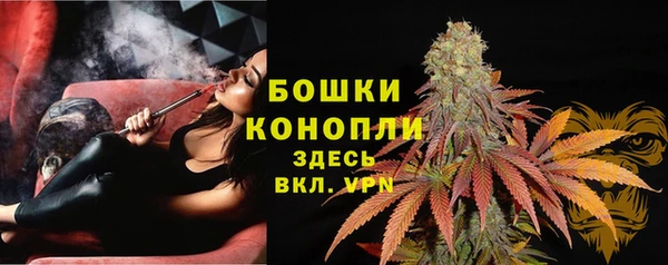 гидропоника Белокуриха