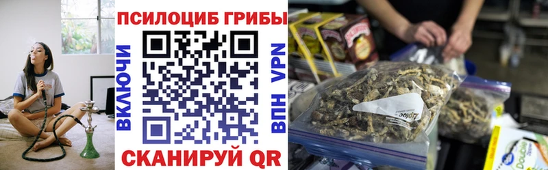 Псилоцибиновые грибы мицелий  kraken как войти  Городовиковск  где купить наркоту 